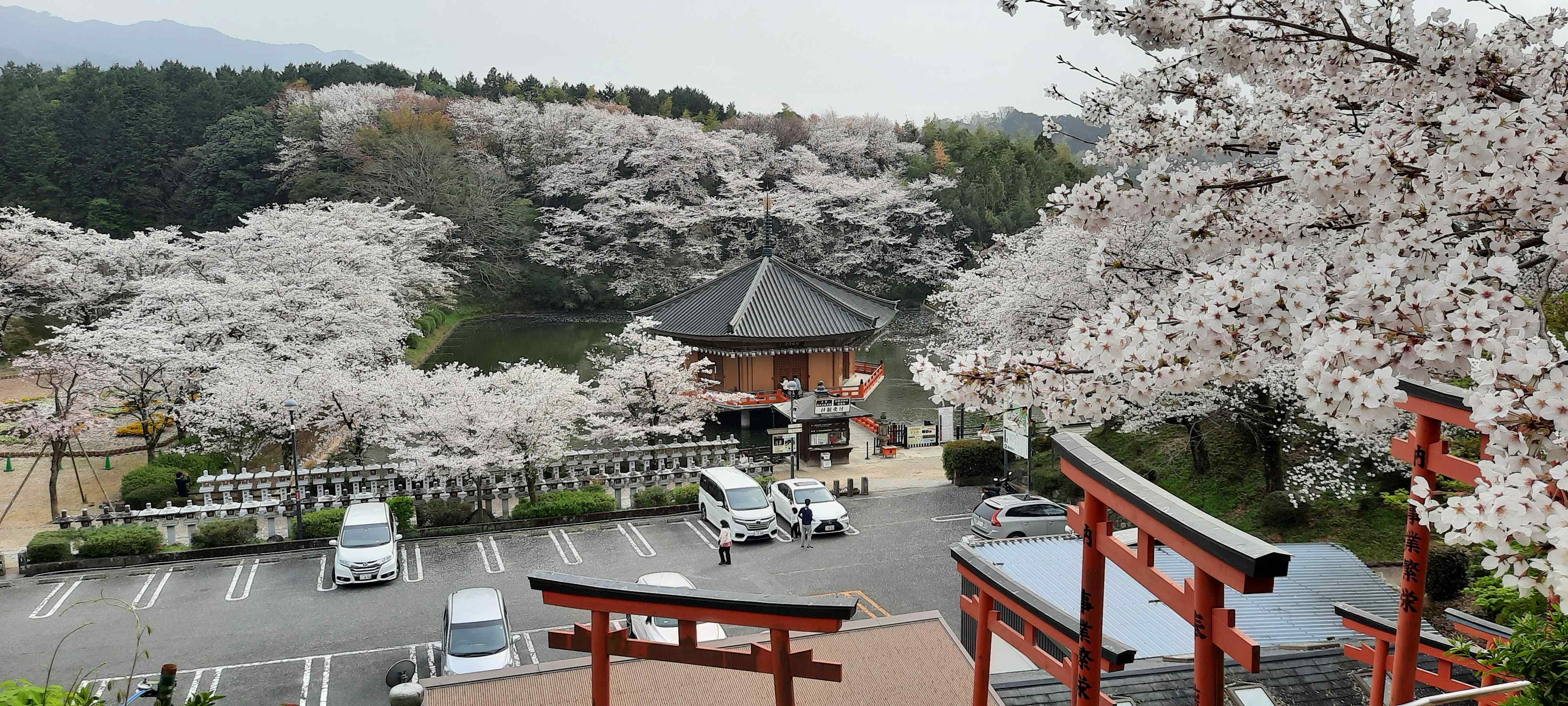 🏯 아베 문수원 이미지 11
